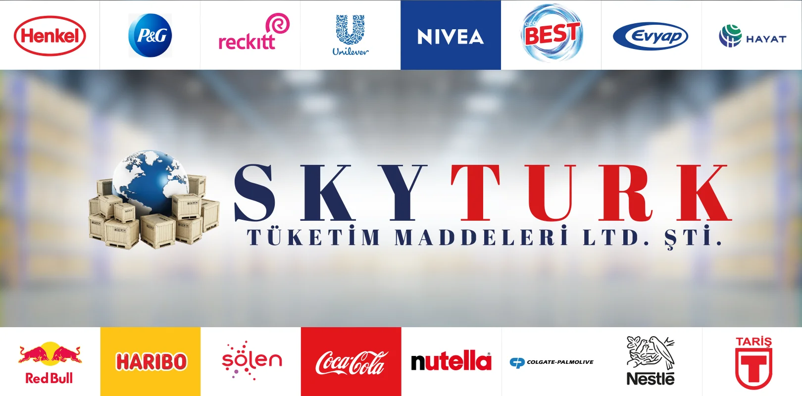 Skyturk Hakkında
