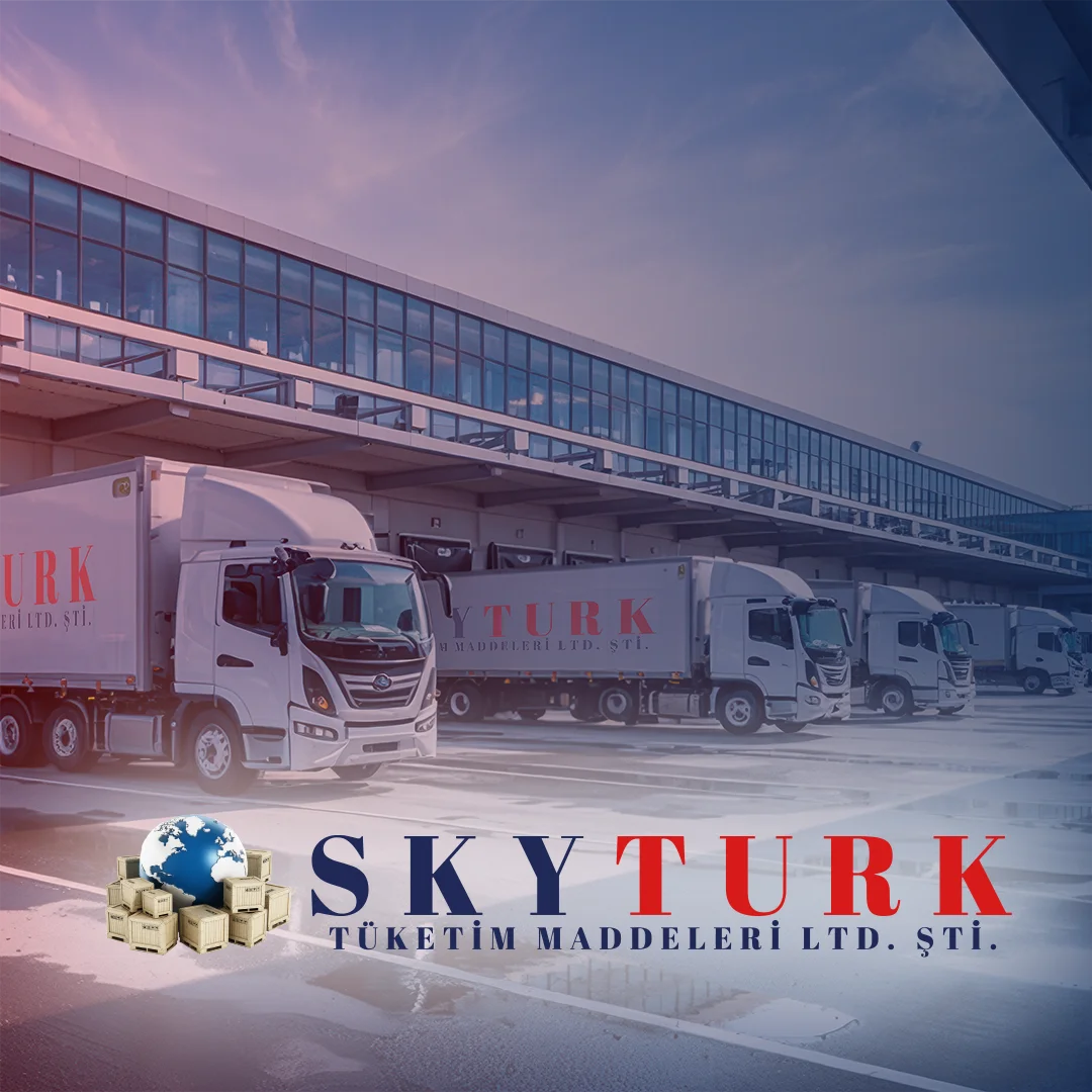 Skyturk Vizyon